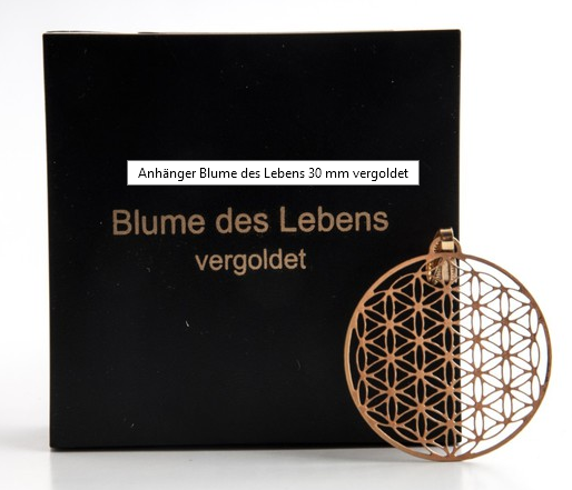 Anhänger Blume des Lebens 30 mm vergoldet